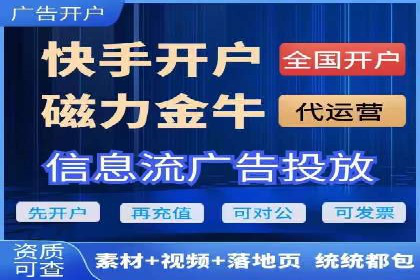 某品牌的信息流广告投放策略及效果展示